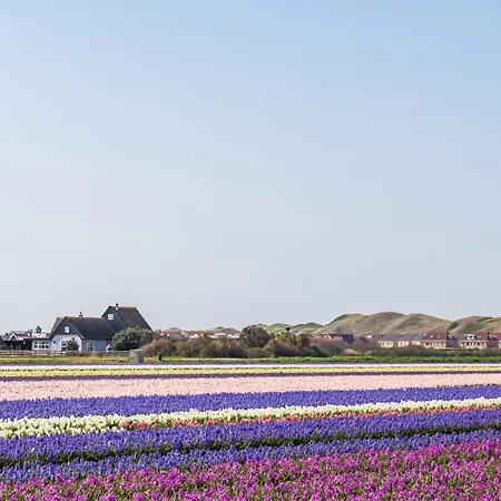 Familiehuis Noordenwind - Aan Zee Holiday home Julianadorp